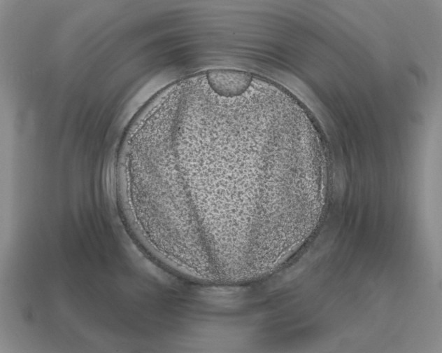 X0000114201290200911061416