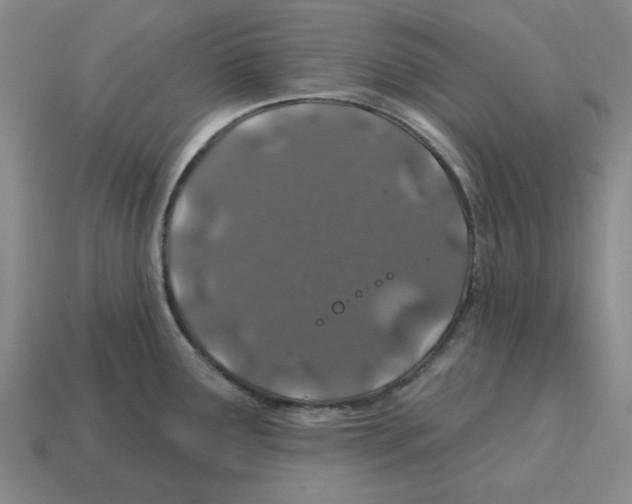 X0000114201291200911061416