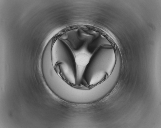 X0000114201293200911061416