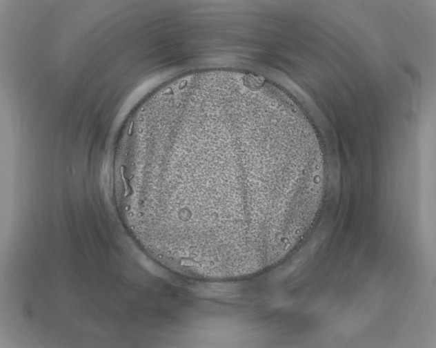 X0000114201294200911061416