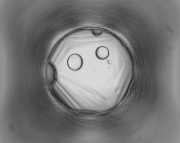 X0000114201295200911061416