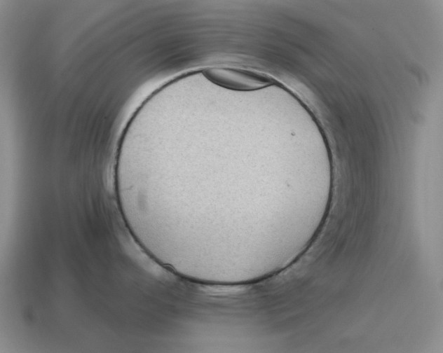 X0000114201296200911061416