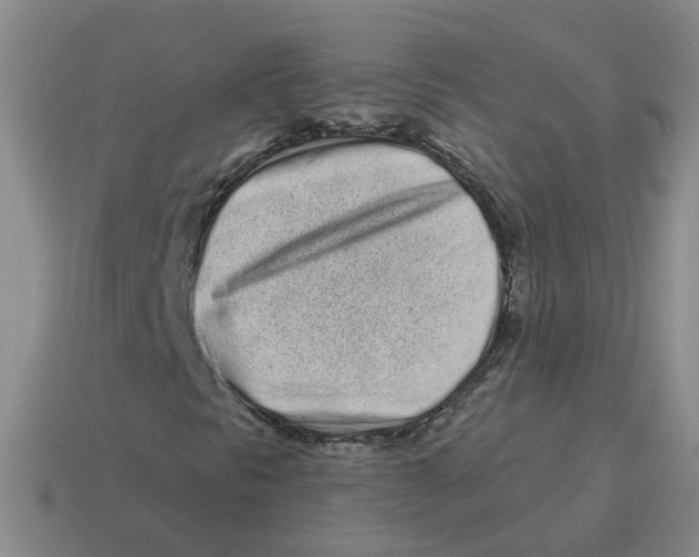 X0000114201297200911061416