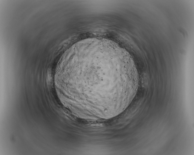 X0000114201298200911061416