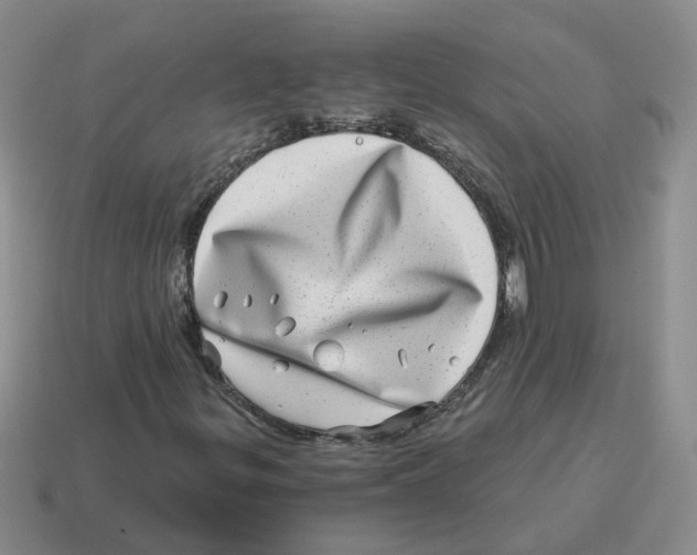 X0000114201299200911061416