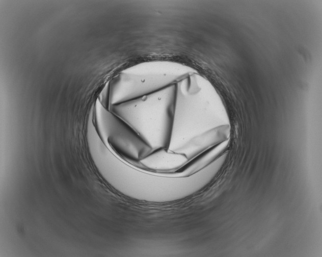 X0000114201300200911061416