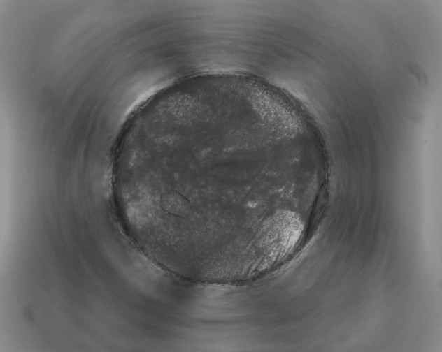 X0000114201306200911061416