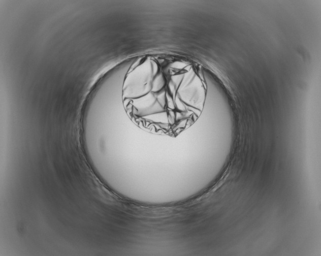 X0000114201308200911061416