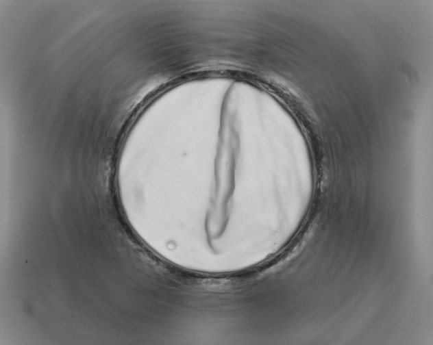 X0000114201313200911061416