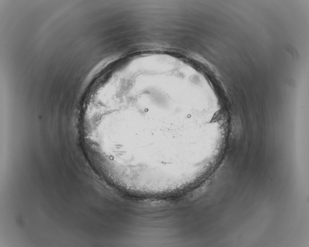 X0000114201314200911061416