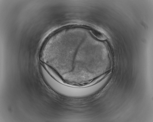 X0000114201318200911061416