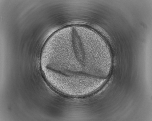 X0000114201321200911061416