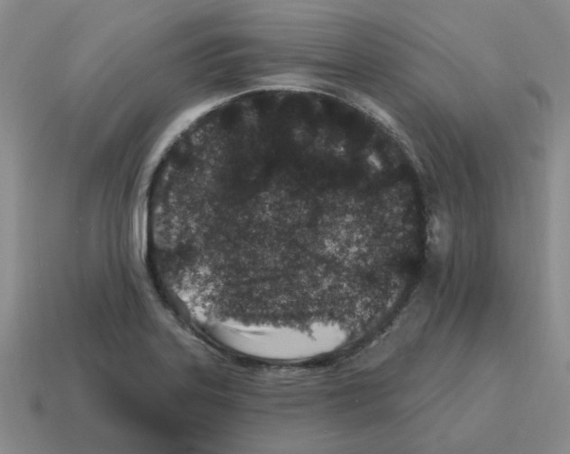 X0000114201323200911061416