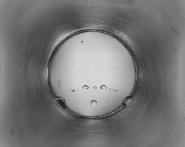 X0000114201324200911061416