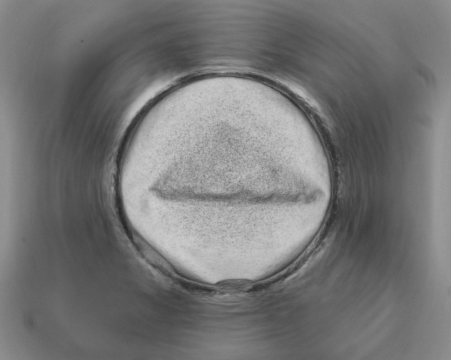 X0000114201325200911061416