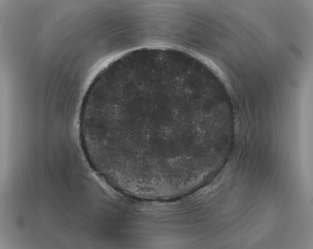 X0000114201327200911061416