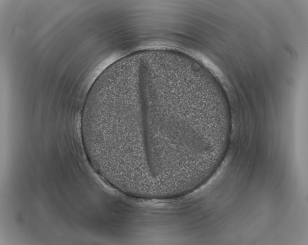 X0000114201329200911061416