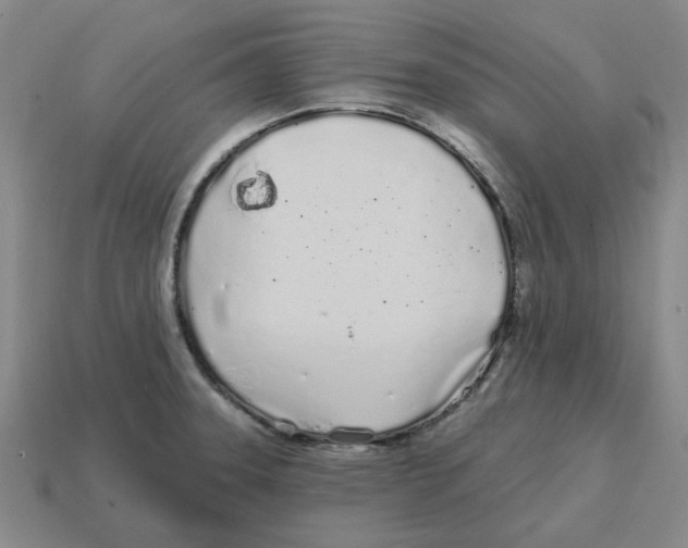 X0000114201331200911061416