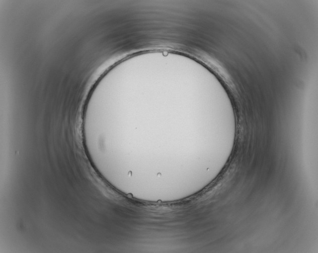 X0000114201332200911061416