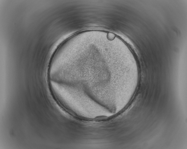 X0000114201333200911061416