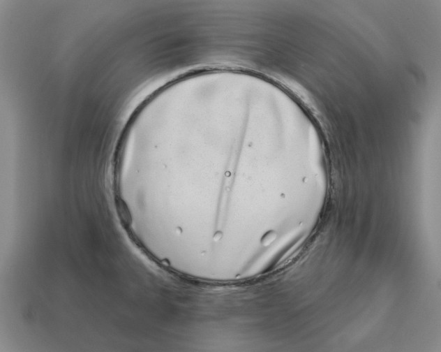 X0000114201335200911061416