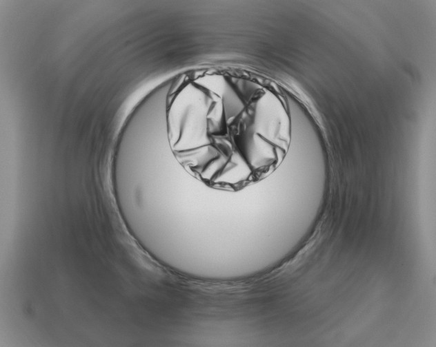 X0000114201336200911061416