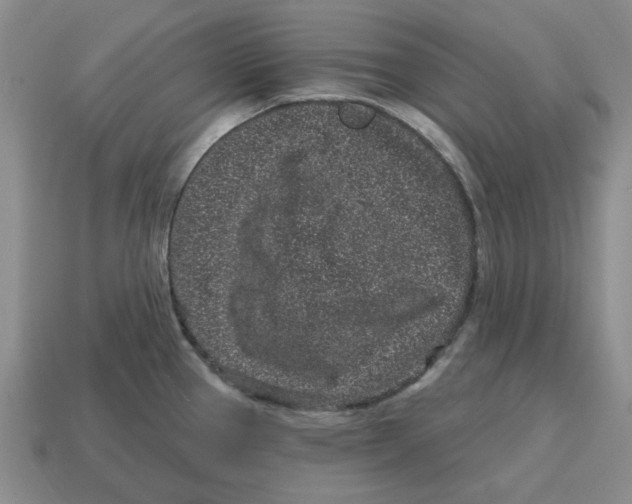 X0000114201337200911061416