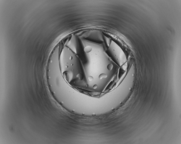 X0000114201338200911061416