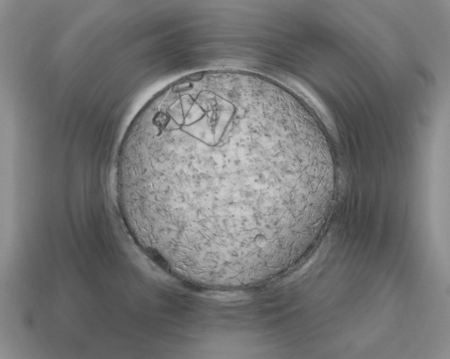 X0000114201340200911061416