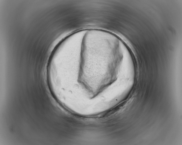 X0000114201341200911061416