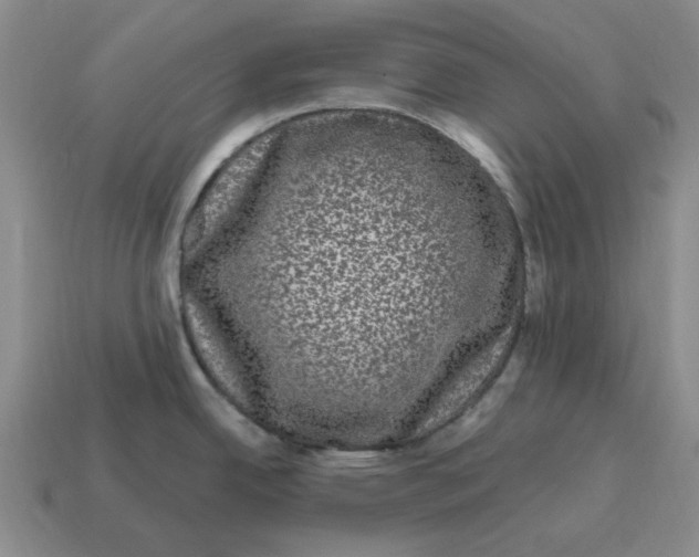 X0000114201342200911061416