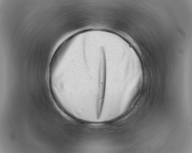 X0000114201343200911061416