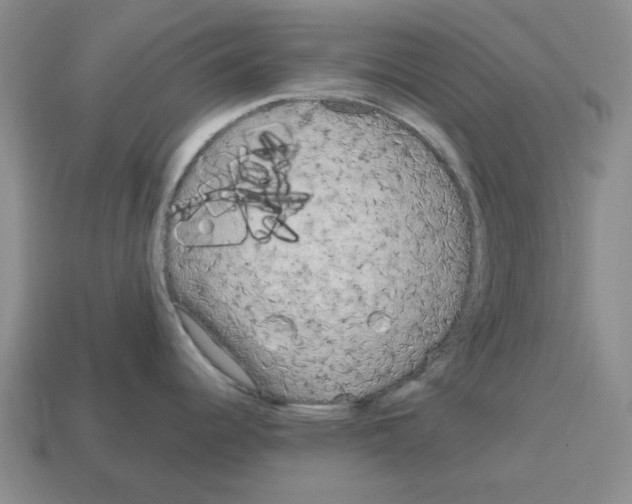 X0000114201344200911061416