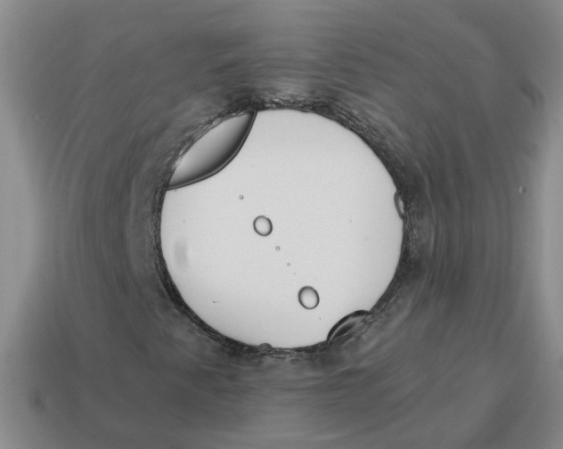 X0000114201345200911061416