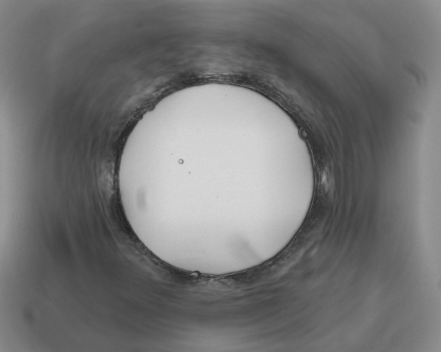 X0000114201348200911061416