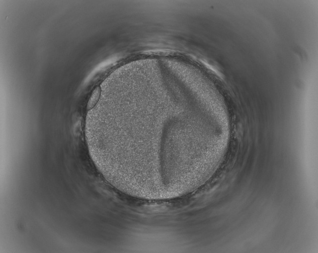 X0000114201351200911061415