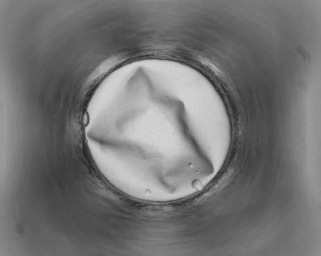 X0000114201354200911061415