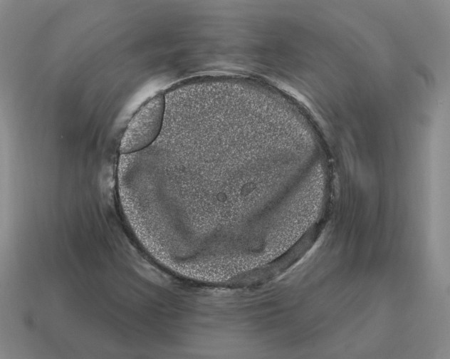 X0000114201355200911061415