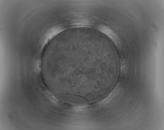 X0000114201357200911061415