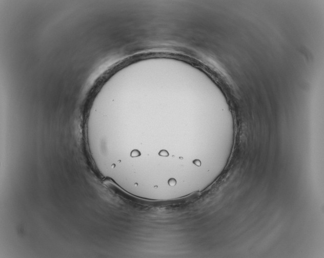 X0000114201360200911061415