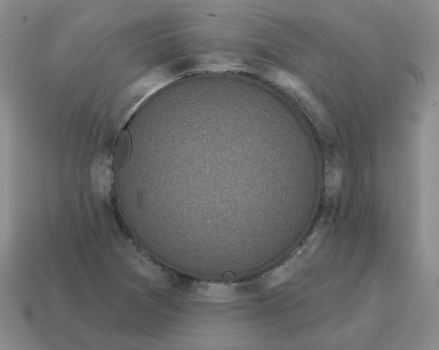 X0000114201361200911061415