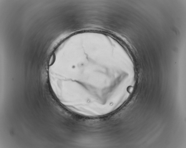 X0000114201363200911061415