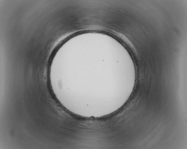 X0000114201364200911061415