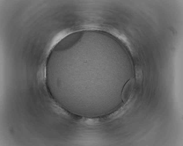 X0000114201365200911061415