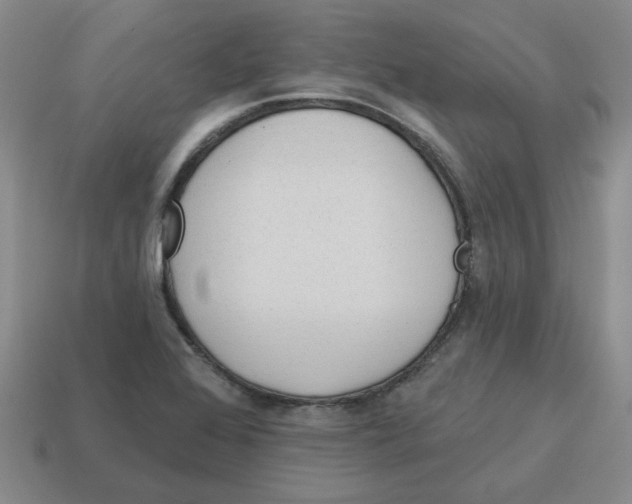 X0000114201368200911061415