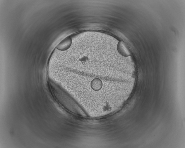 X0000114201370200911061415