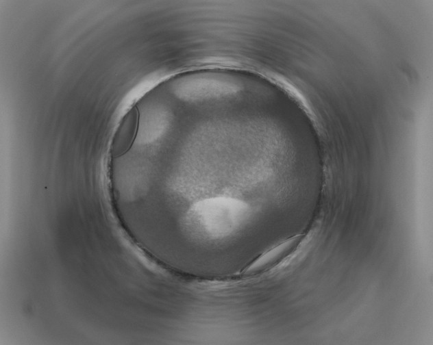 X0000114201373200911061415