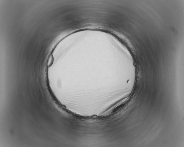 X0000114201375200911061415