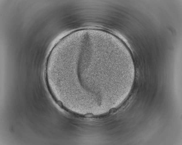 X0000114201379200911061415