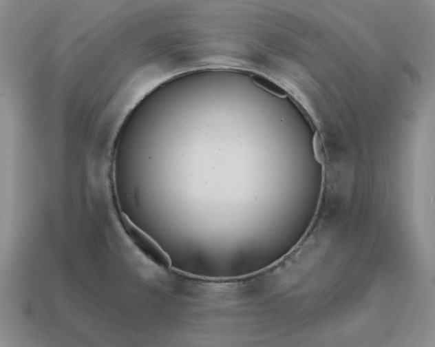 X0000114201381200911061415